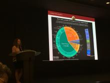 Carrie Pettus-Davis discusses the U.S. annual prison population.