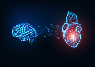 "brain and heart connected by framing graphic"